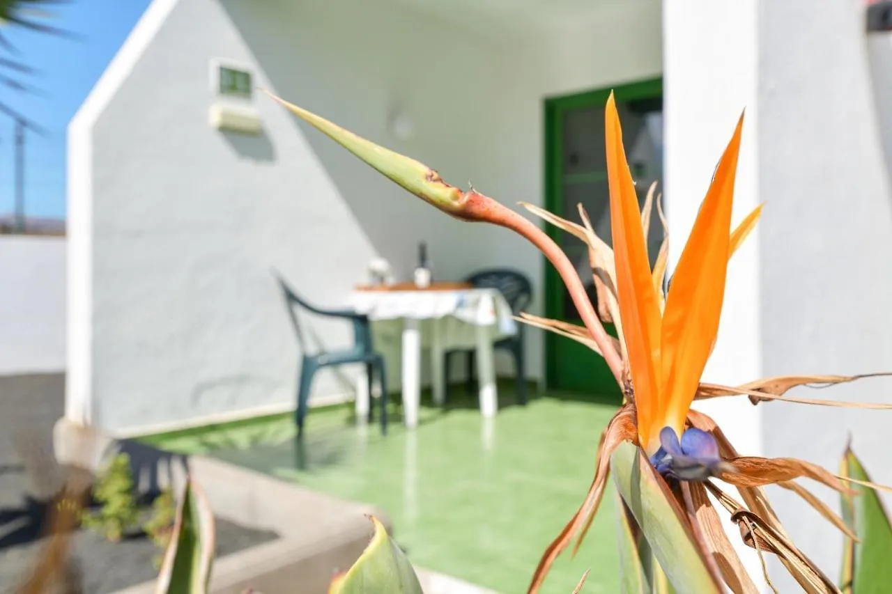 Apartamento Las Mimosas. Bajo con Wifi. Piscinas comunitarias Tías España